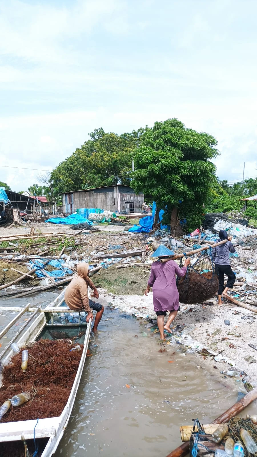 Perempuan pesisir di Mangarabombang, Kabupaten Takalar, tampak memikul hasil rumput laut di tengah kondisi lingkungan yang rentan, merefleksikan peran vital sekaligus tantangan struktural yang mereka hadapi dalam rantai nilai produksi sebagaimana dipaparkan Dr. Ishak Salim pada Konferensi Internasional SustainWell 2026 di Malaysia.